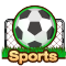 sport icon